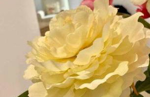 Puerta de Santa Maria Grupo AC Gestion - Foto 4