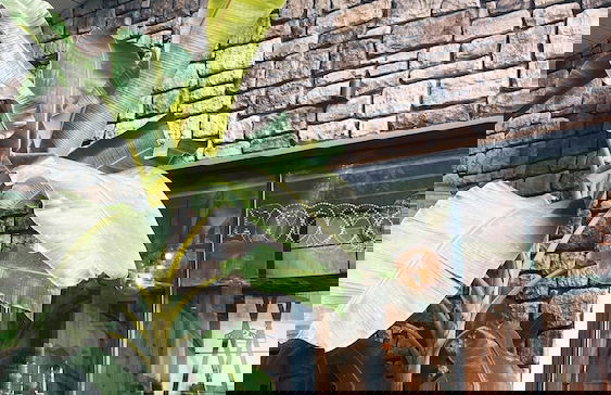 New Balturk Villas Sapanca - Foto 63