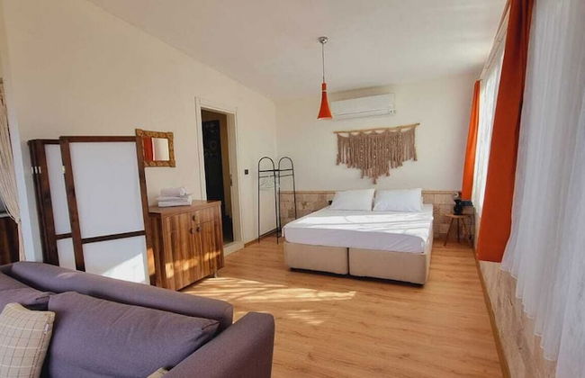 Sole Foca ( Ages 12+ ) - Foto 11