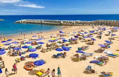 Roraima House - Private Pool & Garden - Photo 80