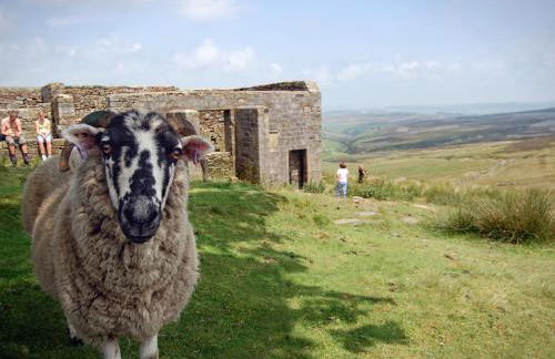 Two-bedroom Cottage - Sandstone Garden Patio - Free Parking - Pets Welcome - Foto 36