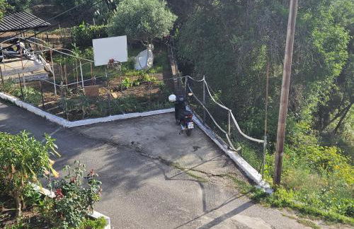 Sylvia's Sweet Home - Foto 30