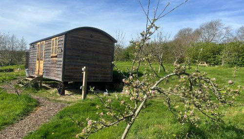 Robins Retreat - Orchard With hot tub - see Extras - Foto 4