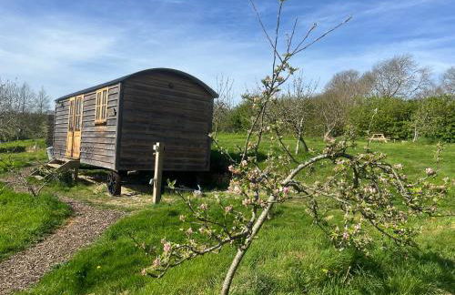 Robins Retreat - Orchard With hot tub - see Extras - Foto 4