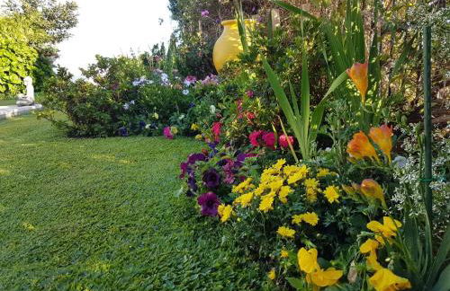 Casa de Prazeres - Foto 74