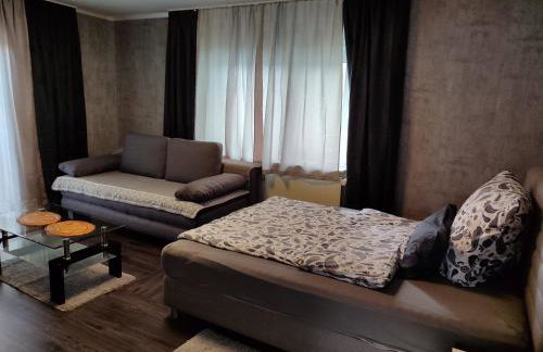 Ferienwohnung Rhein-Main II - Foto 38