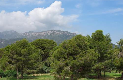 Montaña & Mar - Foto 38