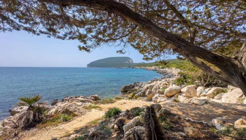 Villa Margherita - Foto 3