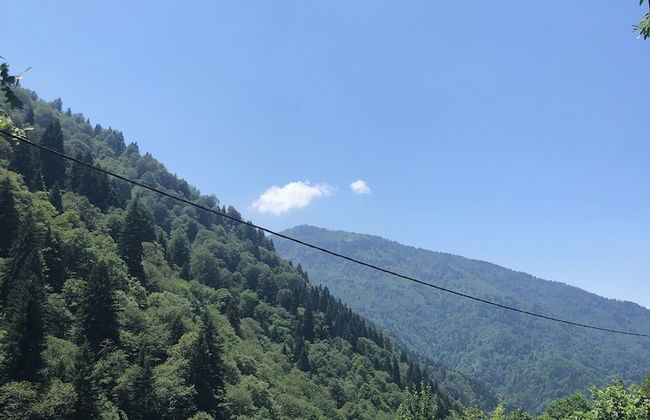 AYDER ÇALIKUŞU BUNGALOV - Foto 12