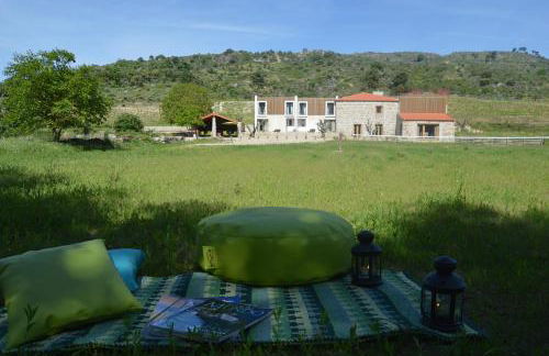 Quinta Vale da Prata - Foto 41