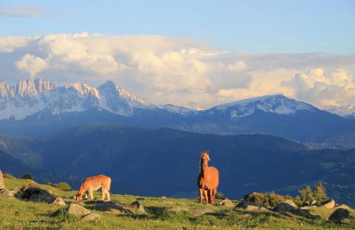 Unterpfaffstall-Hof - Foto 74