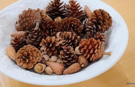 sparton amfilohias παραθαλάσσιο εξοχικό Filoxenia - Foto 39