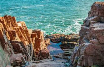 Secluded Oasis on Acadia's Quietside - Pets OK! - Foto 6