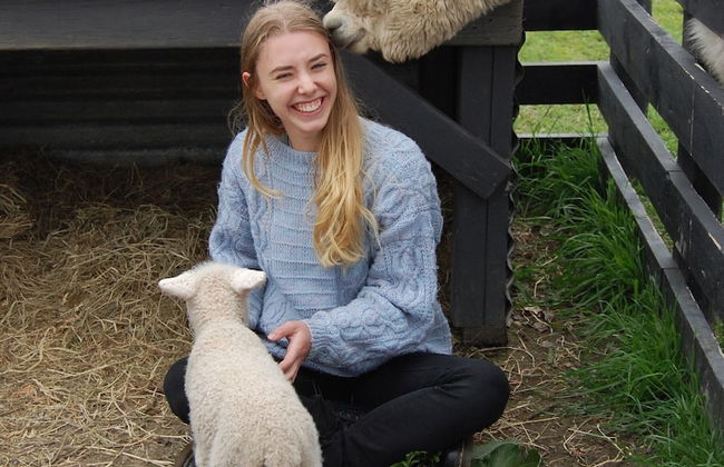 Cottages on St Andrews - Foto 46