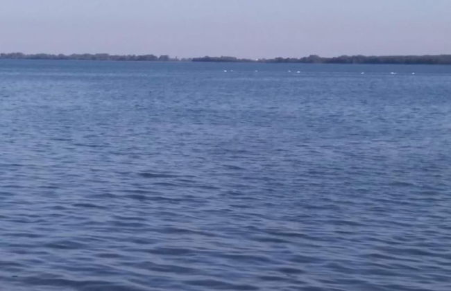 Adorable Home With Pool & Hot Tub Surrounded by Beautiful Nature - Photo 39