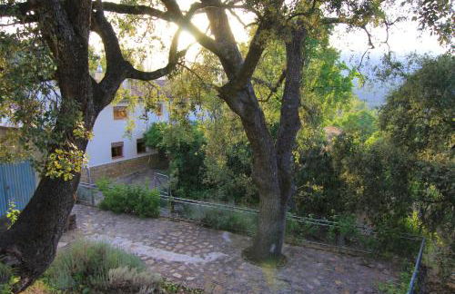 Mesoncillo NEO - Foto 62