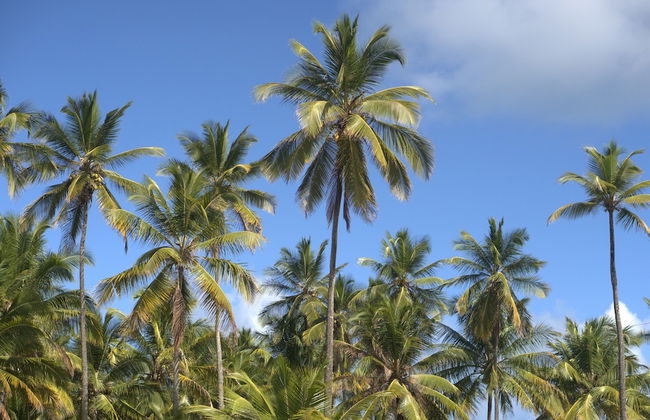 TOKAYA CLUB - Foto 45