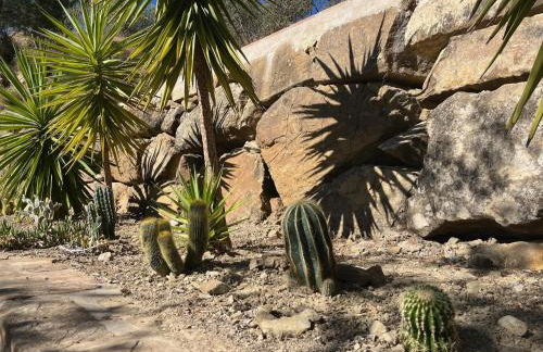 Finca El Sueño Andaluz - Foto 40