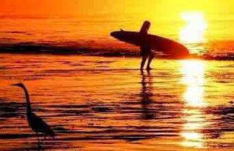 2 bedroom bungalow with hot tub - Photo 25