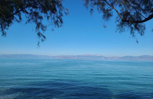 An Oasis By The Beach - Foto 2