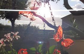 Studio apartman T and T - Photo 28