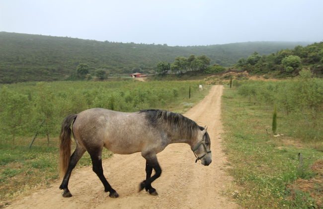 Masia Heredad La Boquilla - Foto 23