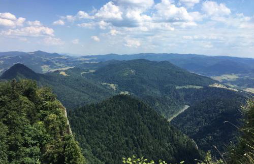 Apartamenty w Jurgowie Świstokówka - Foto 9