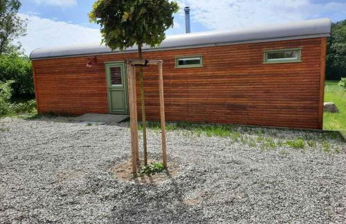 Tiny House "Ria" Comfortable holiday residence - Foto 7