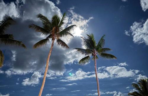 Oceanfront Condo Stunning Sunrise and Ocean Views - Foto 27