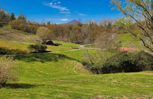 Grapevine Retreat - Foto 32