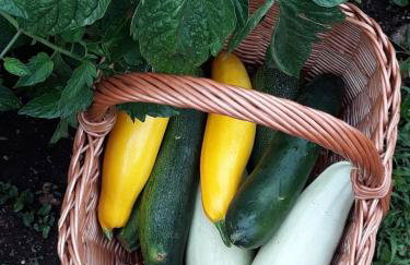 Villa Evita Apartments - Foto 76