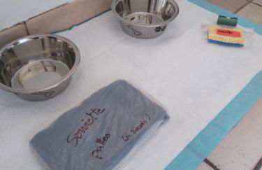 Maison Cenon indépendante avec jardin et parking - Foto 24