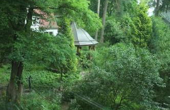 Leśny kasztel pod sosnami. Pokój w koronach drzew. - Foto 29