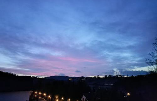 Bieszczadzki Bohater Domki 533-502-137 - Photo 76