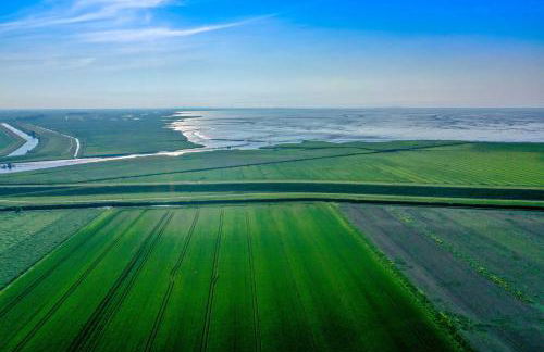 Polderhaus Deichblick direkt am Dullart - Foto 26