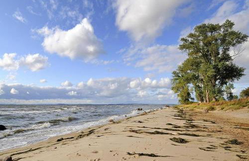 Gutshaus Zicker in Garz - Foto 18