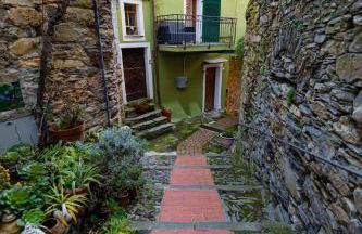 La Casa della Musica - Foto 34