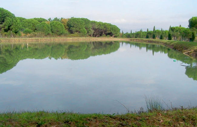 Vibrant Holiday Home in Castiglione del Lago - Foto 65