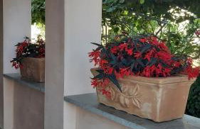 Apartments Villa Mirjam - Foto 11