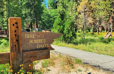 Sequoia Trails, mountains, fun & relax - Foto 38