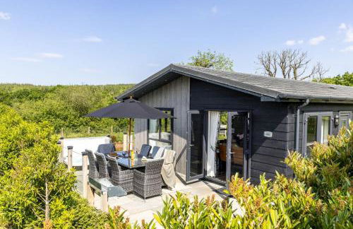 Lilac Lodge, 22 Roadford Lake Lodges - Foto 30