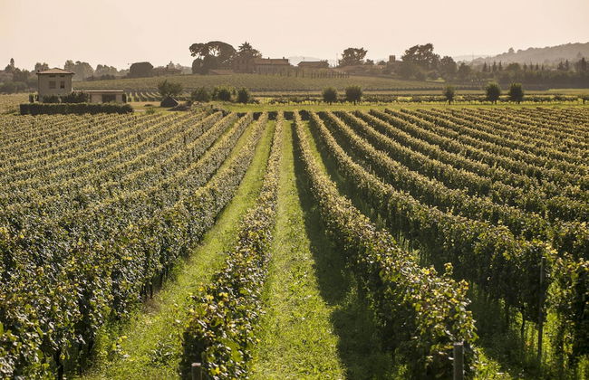 Franciacorta Family Friendly - Foto 41