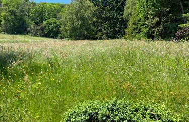 Chalet entier, vue panoramique, ruisseau et sauna. - Foto 28