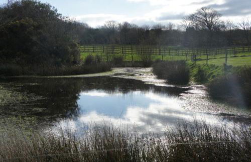 The annex, Ruthvose - Foto 13