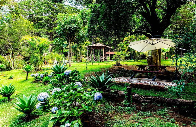 Cabañas Lunas del Poas - Foto 31