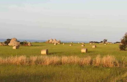 Meraviglioso - Foto 24