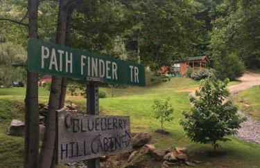 Blueberry Hill Cabin-Private, secluded cabin with a fireplace and New Hot Tub 2025 - Foto 2