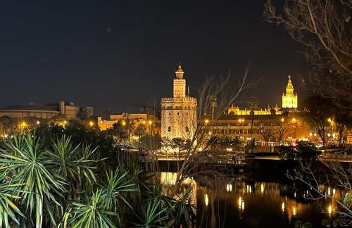 Milenium Palace - Garaje incluido - Piscina-FIBES - Foto 18