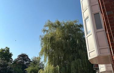 Ferienwohnung zentral&lokal Buxtehude - Photo 8