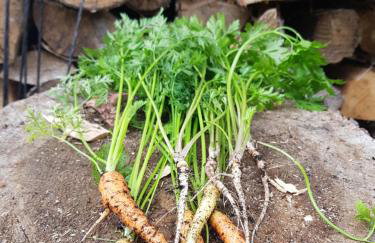 Łap Las Pelnik - Photo 79